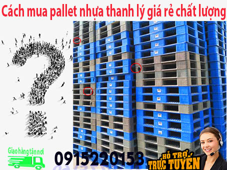 cach-mua-pallet-nhua-thanh-ly-gia-re-chat-luong